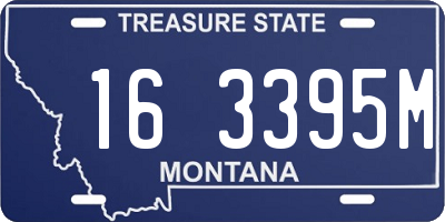 MT license plate 163395M