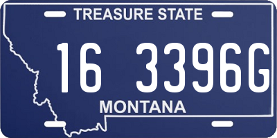 MT license plate 163396G