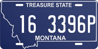 MT license plate 163396P
