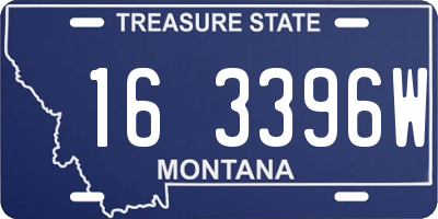 MT license plate 163396W
