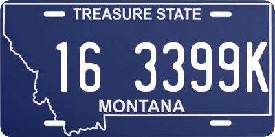 MT license plate 163399K