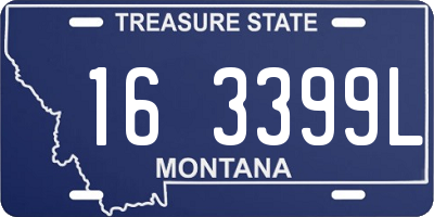 MT license plate 163399L