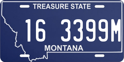 MT license plate 163399M
