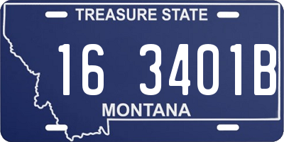 MT license plate 163401B