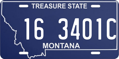 MT license plate 163401C