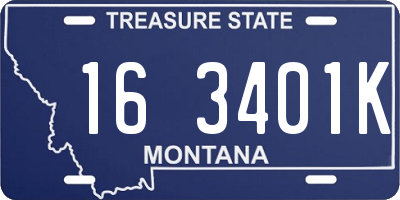 MT license plate 163401K