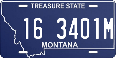MT license plate 163401M