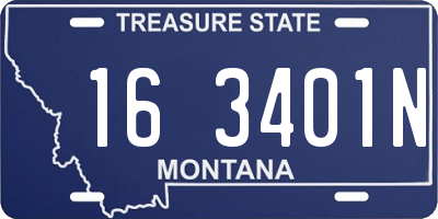 MT license plate 163401N