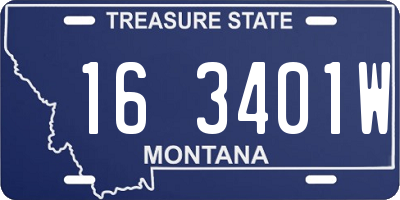 MT license plate 163401W