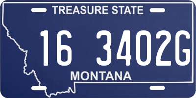 MT license plate 163402G