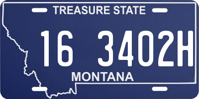 MT license plate 163402H