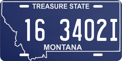 MT license plate 163402I