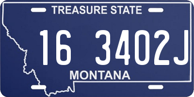 MT license plate 163402J