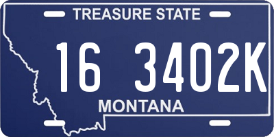 MT license plate 163402K