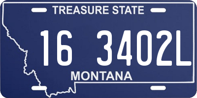 MT license plate 163402L