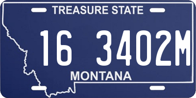 MT license plate 163402M