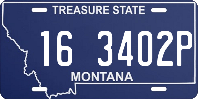 MT license plate 163402P
