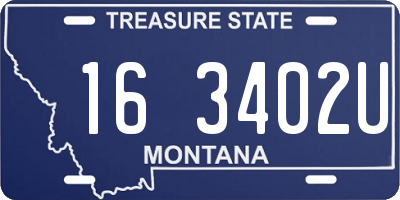 MT license plate 163402U