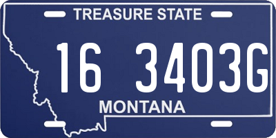 MT license plate 163403G