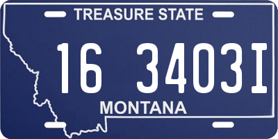 MT license plate 163403I