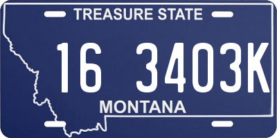 MT license plate 163403K