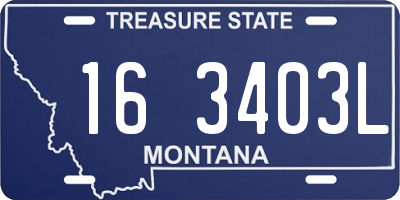 MT license plate 163403L