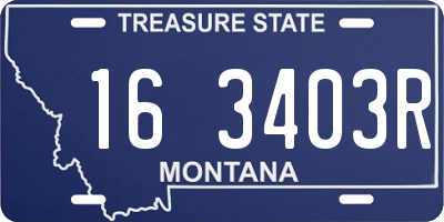 MT license plate 163403R