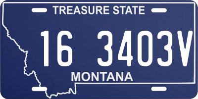 MT license plate 163403V