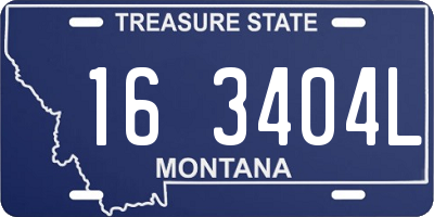 MT license plate 163404L