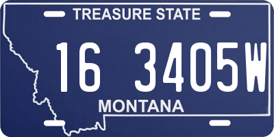 MT license plate 163405W