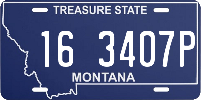 MT license plate 163407P