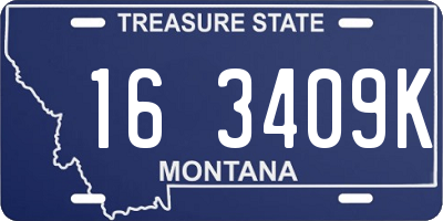 MT license plate 163409K