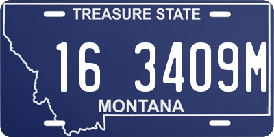 MT license plate 163409M