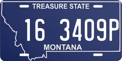 MT license plate 163409P