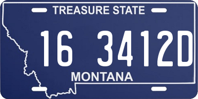 MT license plate 163412D
