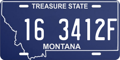 MT license plate 163412F