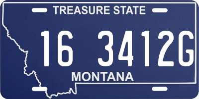 MT license plate 163412G