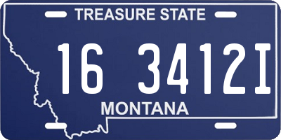 MT license plate 163412I