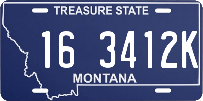 MT license plate 163412K