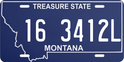 MT license plate 163412L