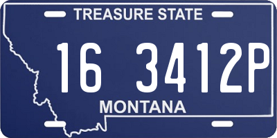 MT license plate 163412P