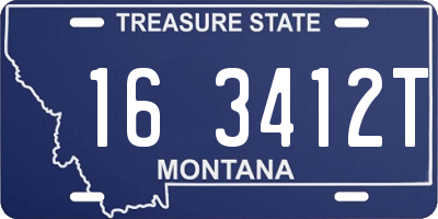 MT license plate 163412T