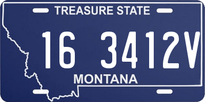 MT license plate 163412V
