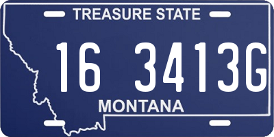 MT license plate 163413G