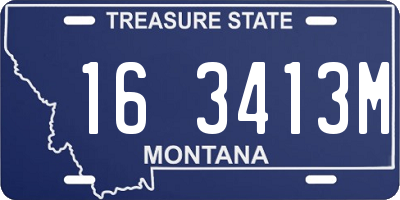 MT license plate 163413M