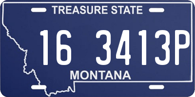 MT license plate 163413P