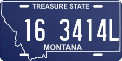 MT license plate 163414L