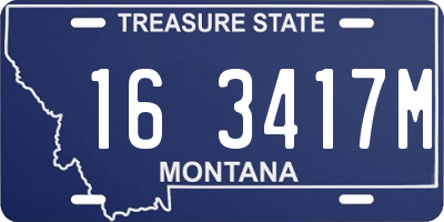 MT license plate 163417M