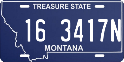 MT license plate 163417N