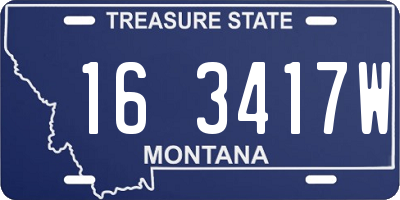 MT license plate 163417W